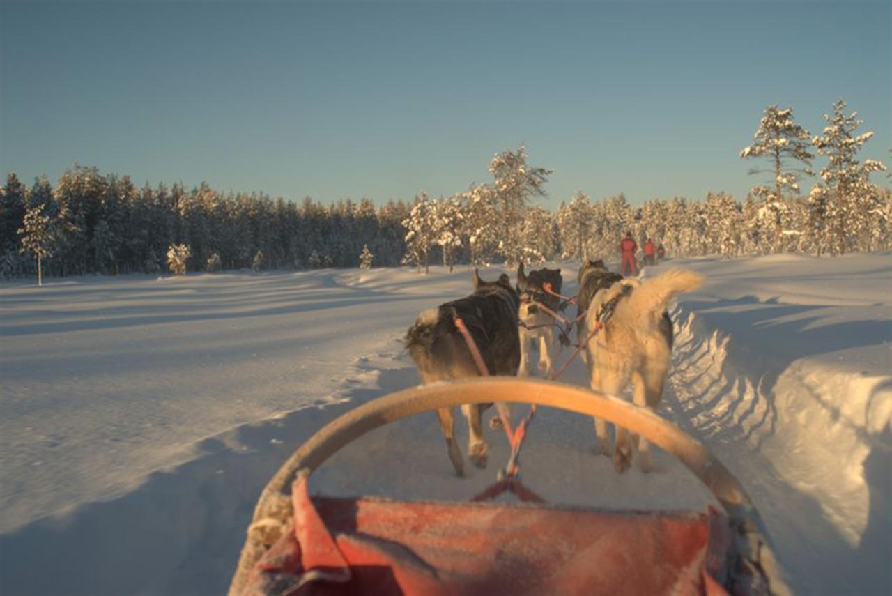 Arctic Panorama Lodge Uloybukta Luaran gambar