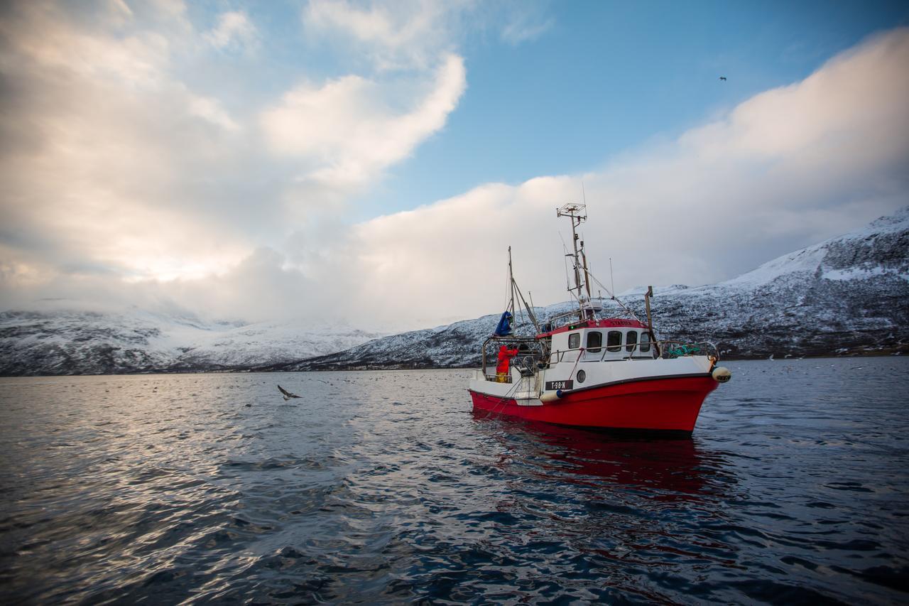 Arctic Panorama Lodge Uloybukta Luaran gambar